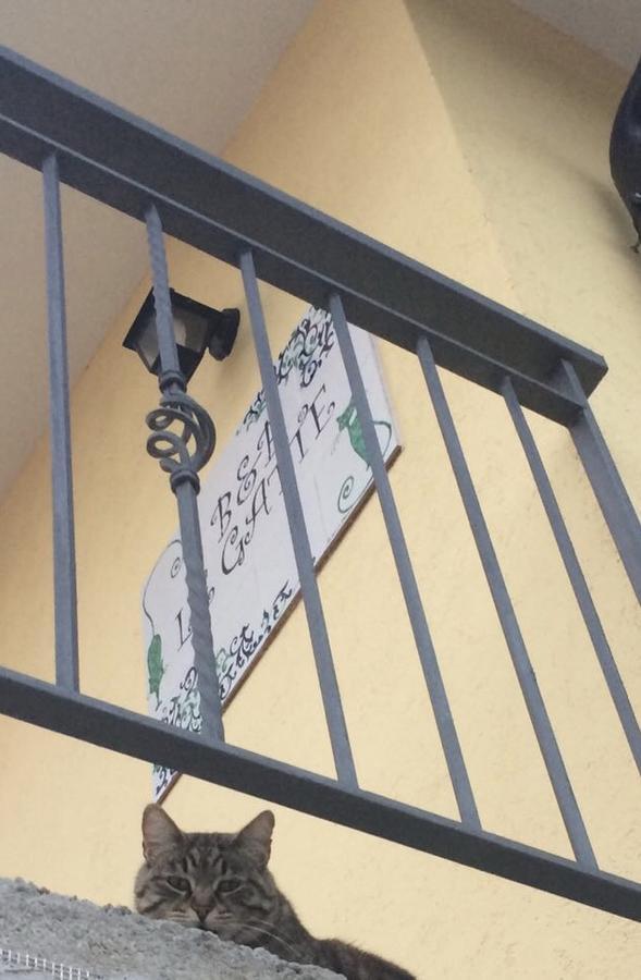 Bed and Breakfast Le Gatte Éboli Exterior foto